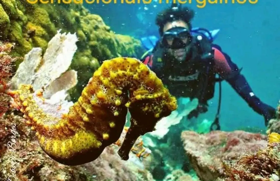 Apartamento em Praia Grande - Le Bon Vivant - Arraial do Cabo-1